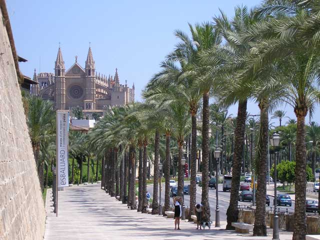 palma