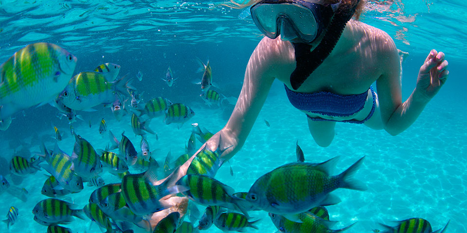 maldive-snorkeling