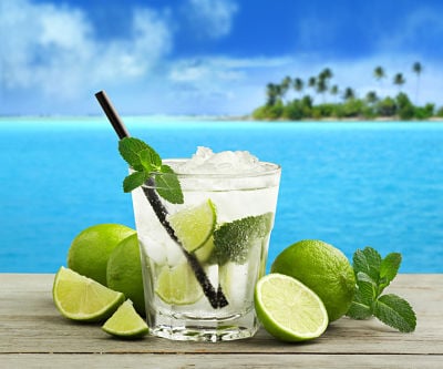 mojito cocktail and fresh ingredients in a tropical landscape