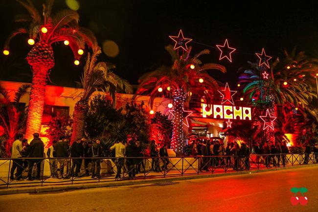 pacha-1