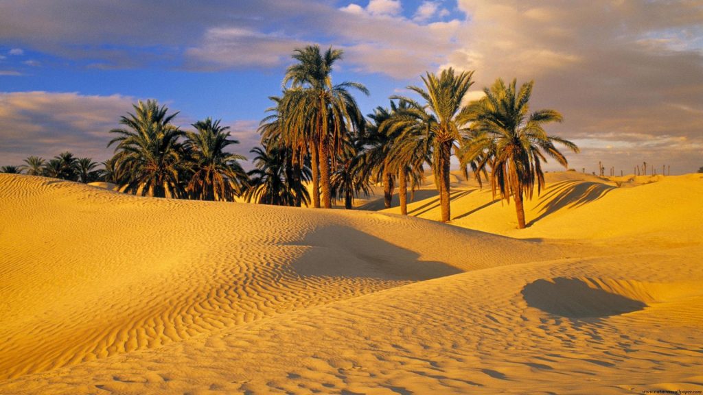 desert_oasis_tunisia-1920x1080